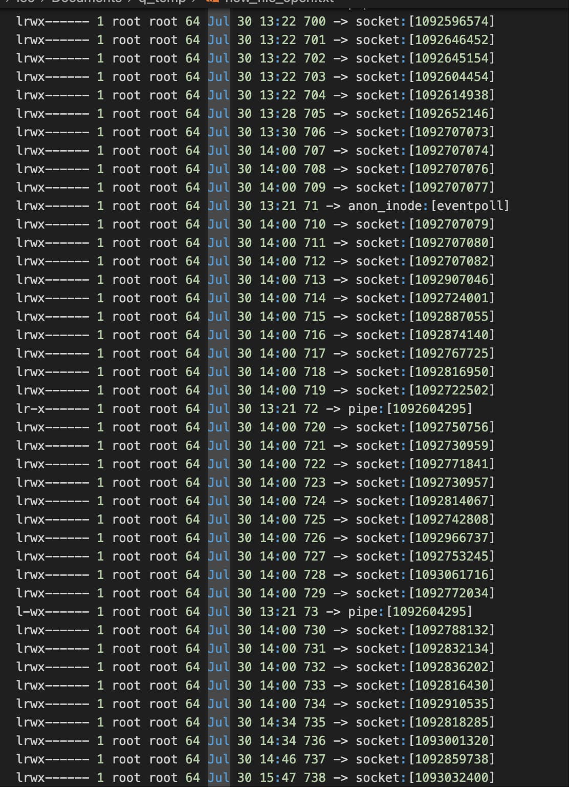 当前程序打开的文件部分描述